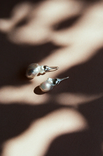 Acacia Earrings